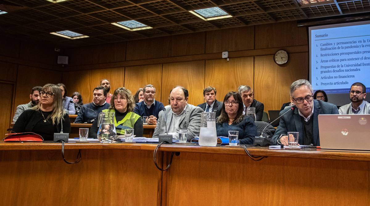 Udelar advierte que su presupuesto real caerá 2,6% al final del período si no recibe nuevos incrementos | La Diaria